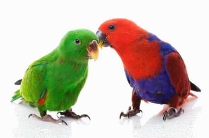dịch vụ dịch thuật tài liệu văn bản