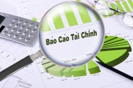 DỊCH THUẬT BÁO CÁO TÀI CHÍNH UY TÍN CHUYÊN NGHIỆP 2