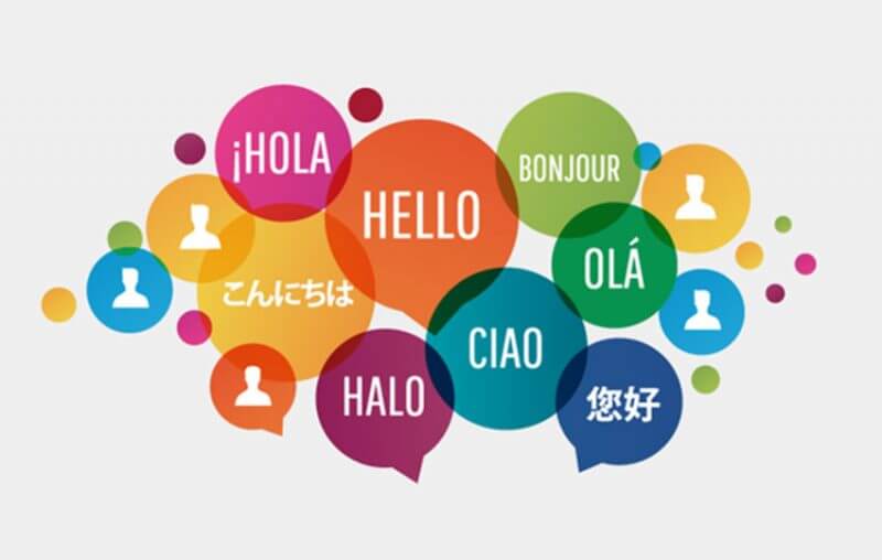 Statistics of the Most Important Factors When Choosing a Translation Company
