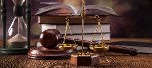 Professional legal and administrative document translation
