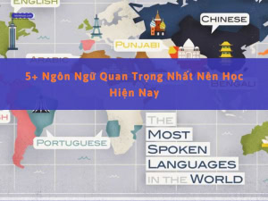 ngôn ngữ nên học