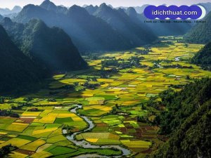 Dịch Vụ Bản Địa Hóa Nội Dung Sang Tiếng Việt