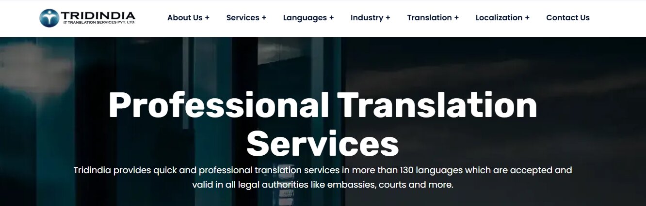 Tridindia IT Translation Service