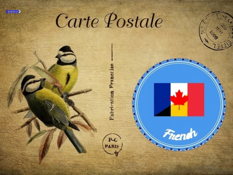 French Interpretation And Translation Services